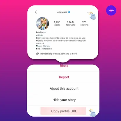 copy Instagram profile link