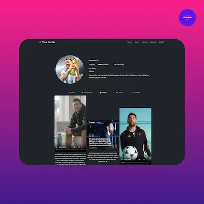 view instagram stories